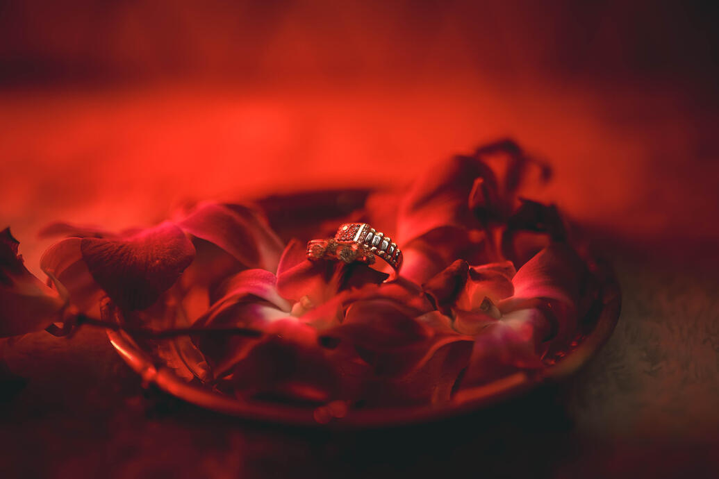 Suspendisse sit amet